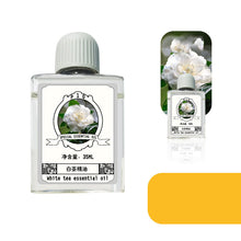 Load image into Gallery viewer, Home Hotel Quiet Spray Fragrance Diffuser