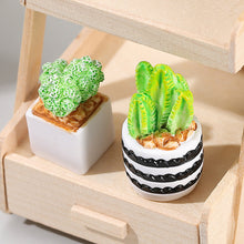 Load image into Gallery viewer, Indoor Cactus Potted Plant Shape Table Decoration