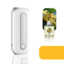 Load image into Gallery viewer, Home Hotel Quiet Spray Fragrance Diffuser