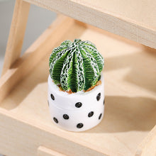 Load image into Gallery viewer, Indoor Cactus Potted Plant Shape Table Decoration