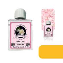 Load image into Gallery viewer, Home Hotel Quiet Spray Fragrance Diffuser