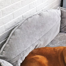 Load image into Gallery viewer, Dog bed sofa bed
