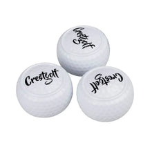 Load image into Gallery viewer, 2Pcs Flat Golf Training Balls
